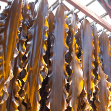 Załaduj obraz do przeglądarki galerii, Suszone Wodorosty Kombu 90g paper pack