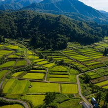 Załaduj obraz do przeglądarki galerii, Ryż super premium "UONUMA KOSHIHIKARI" 1KG / 5KG