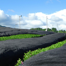 Załaduj obraz do przeglądarki galerii, Organiczna Herbata Gyokuro 50g