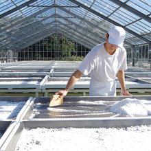 Załaduj obraz do przeglądarki galerii, Sól premium japońska "Ara-Shio" 500g