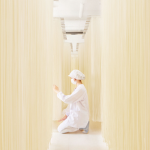 Load image into Gallery viewer, Akita Prefecture specialty "Inaniwa udon" 200g / 1kg