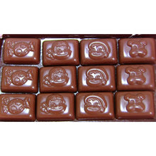 Load image into Gallery viewer, FUJIYA Milky Chocolate 41g (12p)
