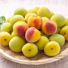 Load image into Gallery viewer, Super premium kishu SHISO UMEBOSHI 1kg
