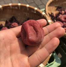 Załaduj obraz do przeglądarki galerii, Marumiya Nan kobai „NANKO-UME” Umeboshi (Marynowane japońskie białe śliwki z 20% soli) 150 g
